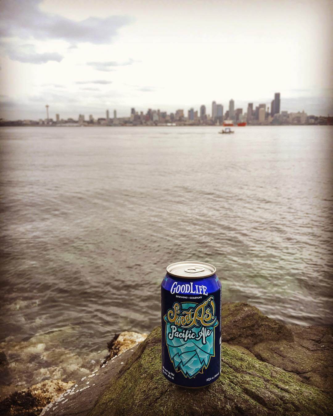 Beautiful Seattle! Thanks for the fun times! 🍺
🍺
🍺

#goodlifebrewing #bend #oregon #sweetaspacificale #adventurousales #oregonbeer #craftbeer #cannedbeer #beertography #seattle #spaceneedle #sbw16 #pnw #pnwonderland