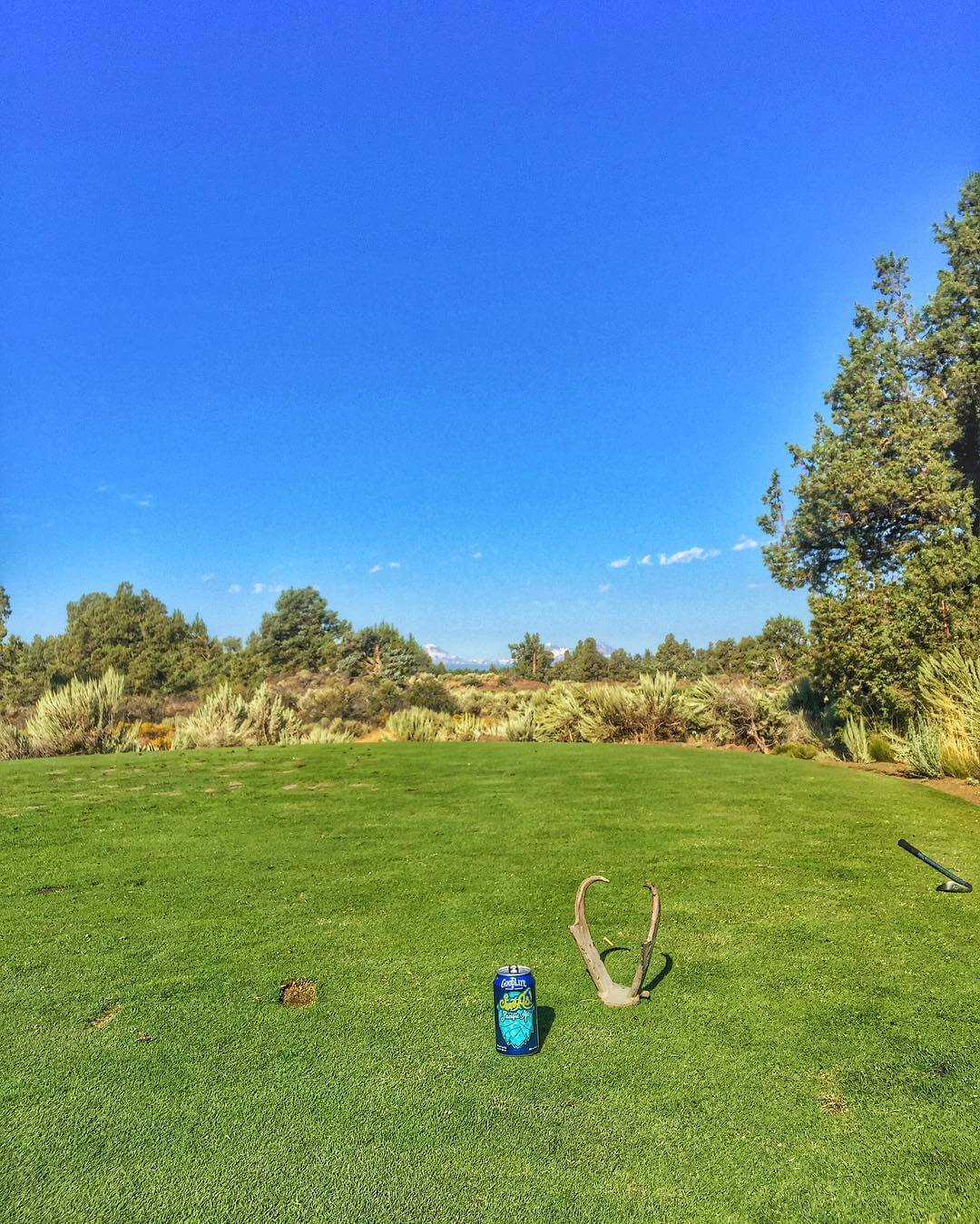 Buenos Dias from the Ghost Tree Invitational at #pronghorn! #adventurousales #ishouldhaveyelledtwo