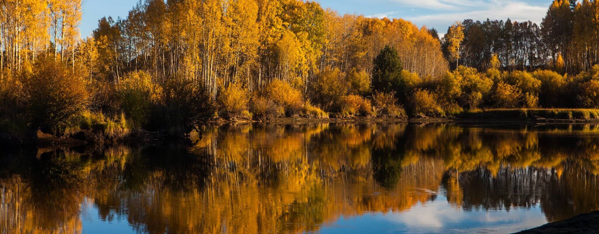 Fall-Color-on-the-Deschutes-River