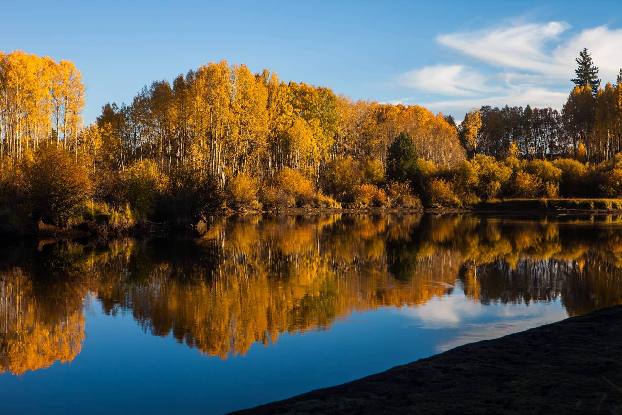 Fall-Color-on-the-Deschutes-River